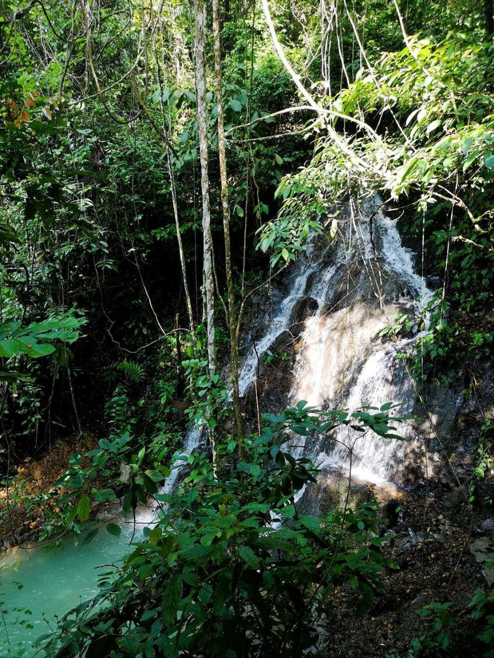 Thejungleguide - Lodges & Treks Bukit Lawang Exteriör bild