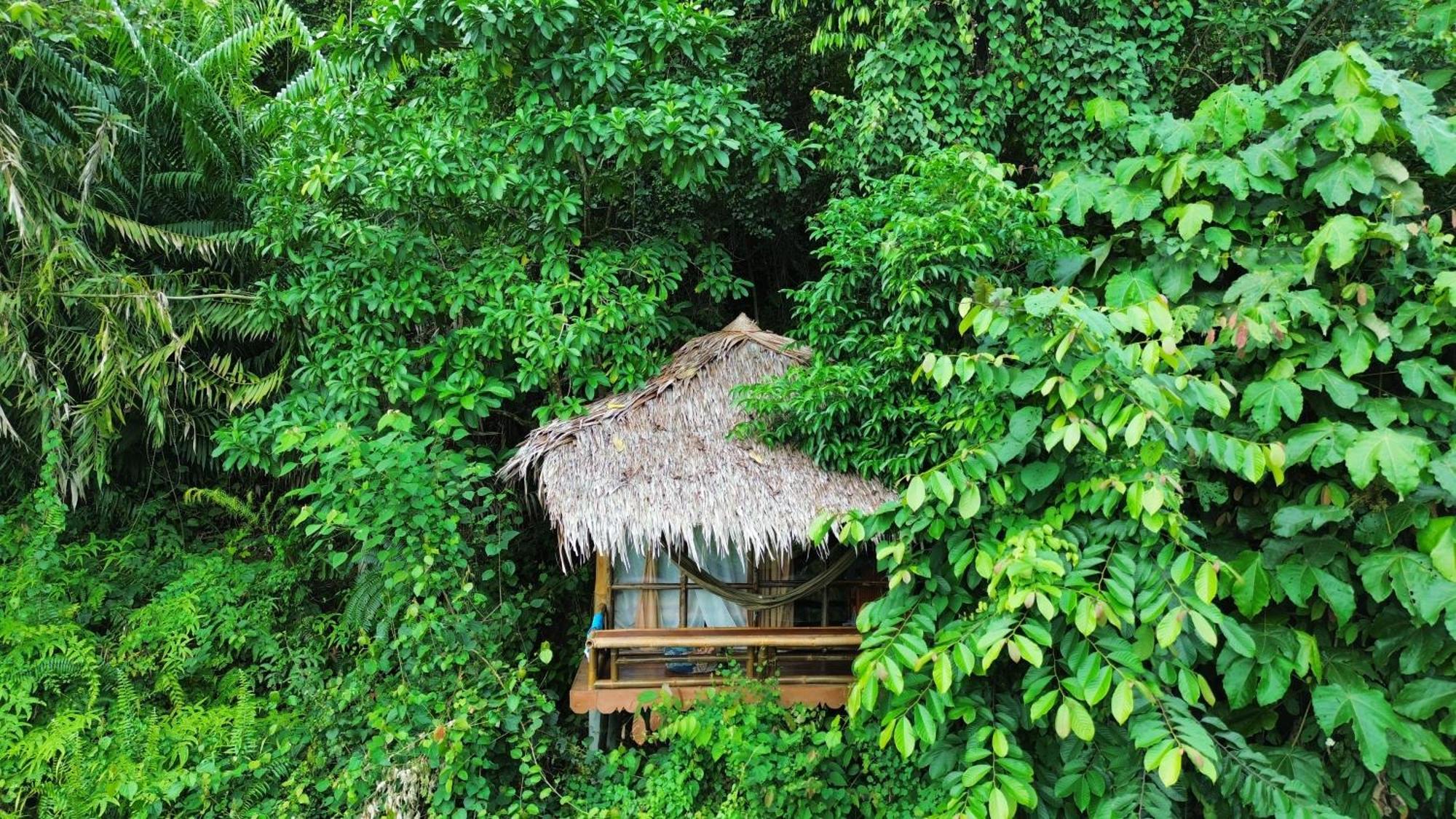 Thejungleguide - Lodges & Treks Bukit Lawang Exteriör bild